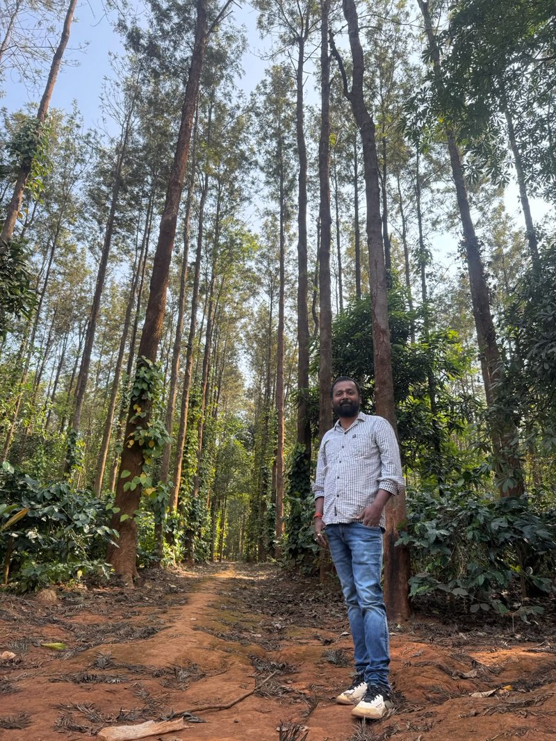 Founder in tall forest shade canopy in Koraput